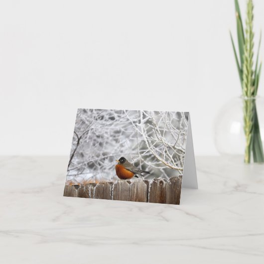 Color Photo Robin in Winter Note Kaart (Voorkant)