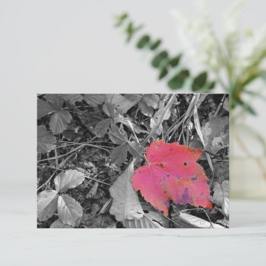 Color Pop Red Leaf Bedankkaart (Staand voorkant)