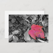 Color Pop Red Leaf Bedankkaart (Voorkant / Achterkant)