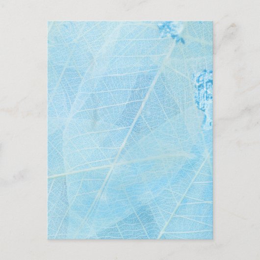 color tuqueza hoja briefkaart (Voorkant)