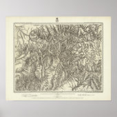 Colorado 10 poster (Voorkant)