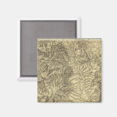Colorado 11 magneet (Voorkant / Achterkant)