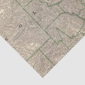 Colorado 12 tissuepapier (Detail)