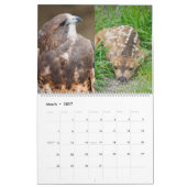 Colorado 2010 kalender (Mar 2027)