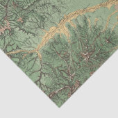 Colorado 7 tissuepapier (Detail)