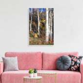 Colorado Aspen Designs Canvas Afdruk (Insitu (Woonkamer))