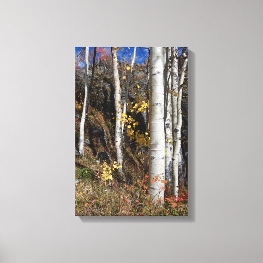Colorado Aspen Designs Canvas Afdruk (Voorkant)