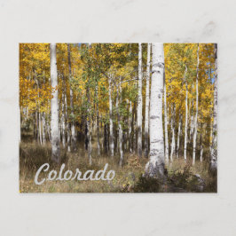 Colorado Aspen Grove in het najaar Briefkaart