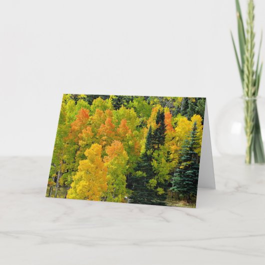 Colorado Aspen Grove Kaart (Voorkant)