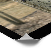 Colorado Aspen Trees Poster (Hoek)