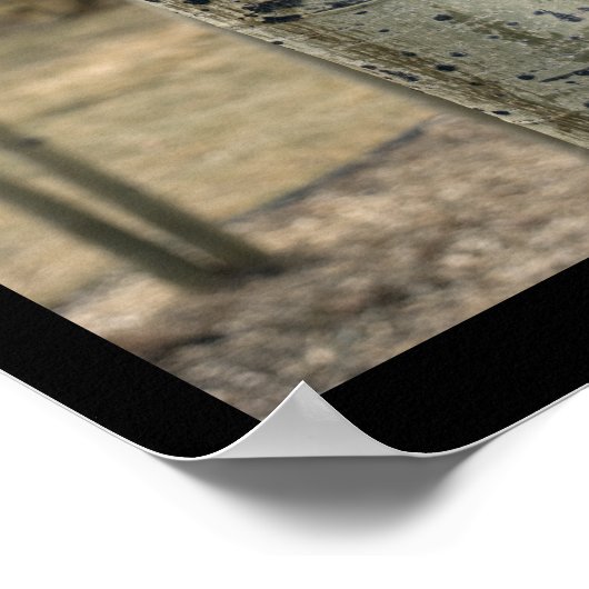 Colorado Aspen Trees Poster (Hoek)