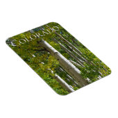 Colorado Aspens Designer Fridge Magnet Magneet (Rechterzijde)
