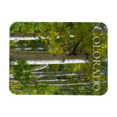 Colorado Aspens Designer Fridge Magnet Magneet (Horizontaal)
