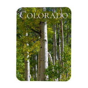Colorado Aspens Designer Fridge Magnet Magneet