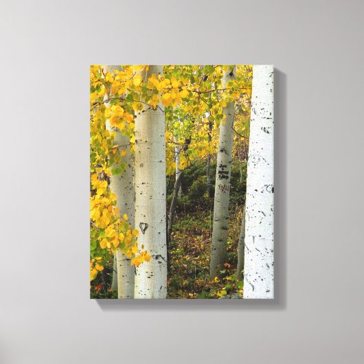 Colorado Aspens Designer Wrapped Canvas Afdruk (Voorkant)