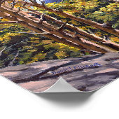 Colorado Aspens in Beautiful Autumn Splendor Poster (Hoek)