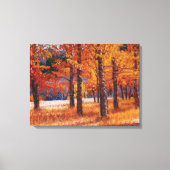 Colorado Aspens in Vibrant Autumn Splendor Canvas Afdruk (Voorkant)