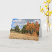 Colorado Autumn Aspen Trees All Occasion Kaart (Gele Bloem)