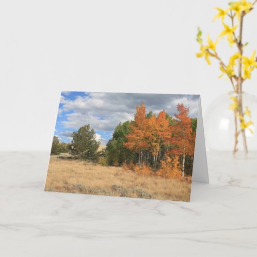 Colorado Autumn Aspen Trees All Occasion Kaart (Gele Bloem)