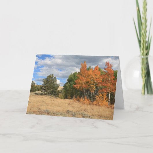 Colorado Autumn Aspen Trees All Occasion Kaart (Voorkant)