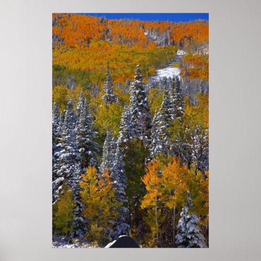 Colorado Autumn Poster (Voorkant)