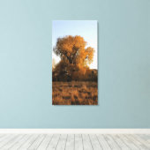 Colorado Beauty Canvas Afdruk (Insitu (Houten vloer))