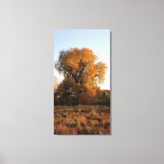 Colorado Beauty Canvas Afdruk (Voorkant)