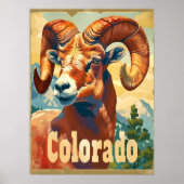 Colorado Bighorn schapen Poster (Voorkant)