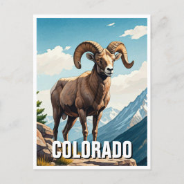 Colorado Bighorn schapen reizen souvenir Briefkaart