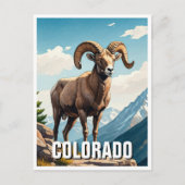 Colorado Bighorn schapen reizen souvenir Briefkaart (Voorkant)