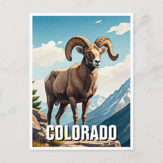 Colorado Bighorn schapen reizen souvenir Briefkaart (Voorkant)