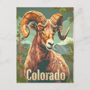 Colorado Bighorn Sheep Briefkaart