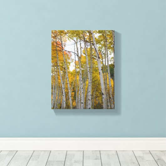 Colorado Birch Trees Canvas Afdruk (Insitu (Houten vloer))