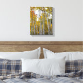 Colorado Birch Trees Canvas Afdruk (Insitu (Slaapkamer))