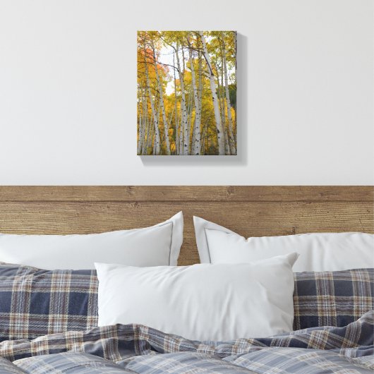 Colorado Birch Trees Canvas Afdruk (Insitu (Slaapkamer))