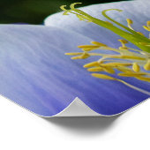 Colorado Blauwe Poster (Hoek)
