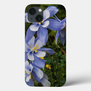 Colorado Blue Columbine bij Telluride Colorado iPhone 13 Hoesje