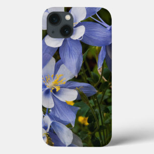 Colorado Blue Columbine bij Telluride Colorado iPhone 13 Hoesje