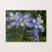 Colorado Blue Columbine bij Telluride Colorado Legpuzzel (Horizontaal)