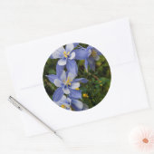 Colorado Blue Columbine bij Telluride Colorado Ronde Sticker (Envelop)