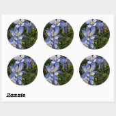 Colorado Blue Columbine bij Telluride Colorado Ronde Sticker (Vel)
