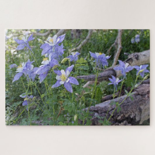 Colorado Blue Columbine Flowers en Logs Puzzle Legpuzzel (Horizontaal)