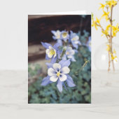 Colorado Blue Columbine Kaart (Gele Bloem)