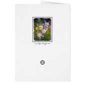 Colorado Blue Columbine Painting - Originele Kunst (Achterkant)