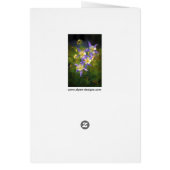 Colorado Blue Columbine Painting - Originele Kunst (Achterkant)