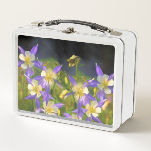 Colorado Blue Columbine Painting - Originele Kunst