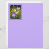 Colorado Blue Columbine Painting - Originele Kunst (Voorkant / Achterkant)