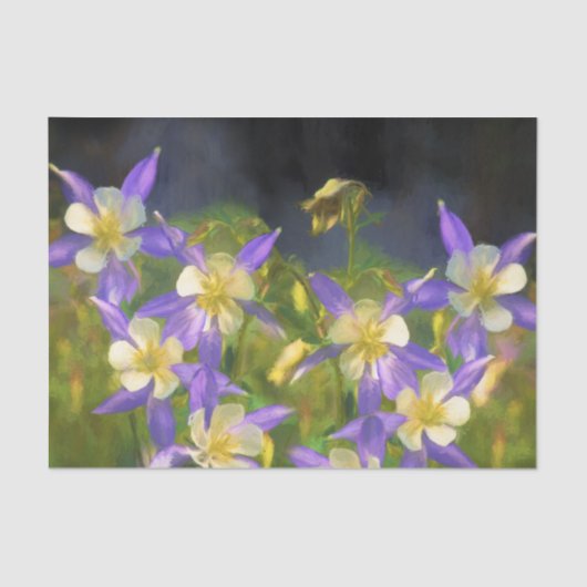 Colorado Blue Columbine Painting - Originele Kunst Tissuepapier (Voorkant)