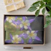 Colorado Blue Columbine Painting - Originele Kunst Tissuepapier (Geschenk)