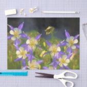 Colorado Blue Columbine Painting - Originele Kunst Tissuepapier (Craft)